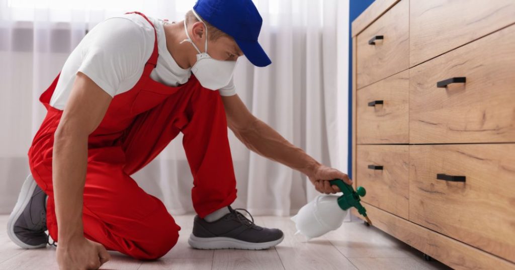 capa dedetizacao em Pelotas